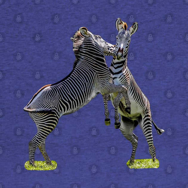 Zebras just horsing around by dalyndigaital2@gmail.com